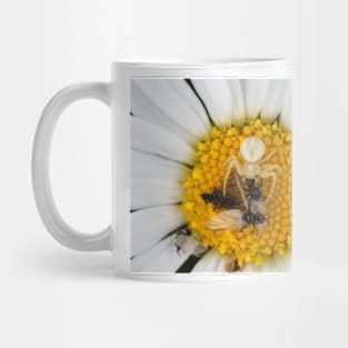 Tiny crab spider (likely male Misumena vatia) with lots of prey Mug